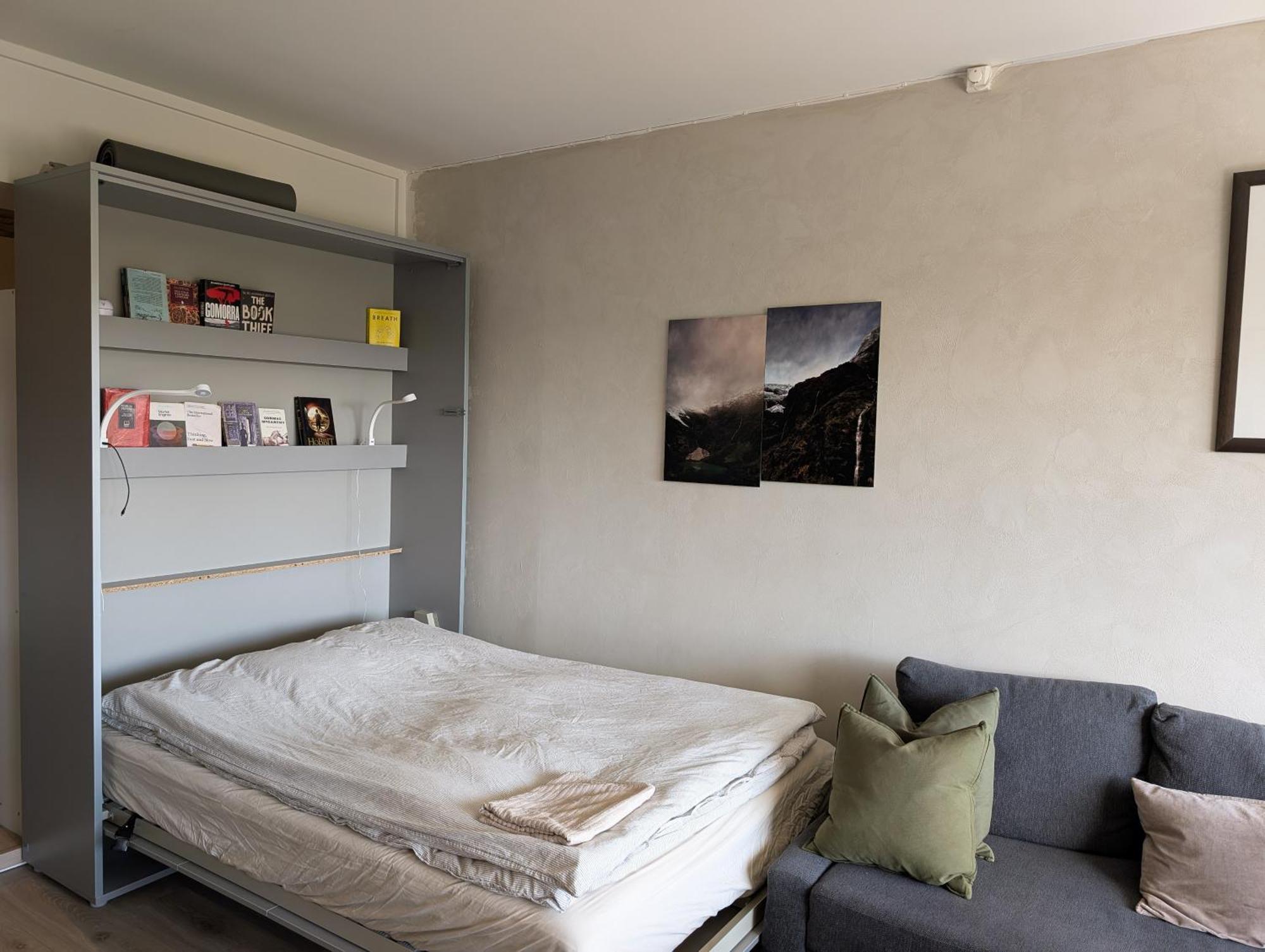 Spacious And Cozy Study Apartment With Balcony Oslo Kültér fotó